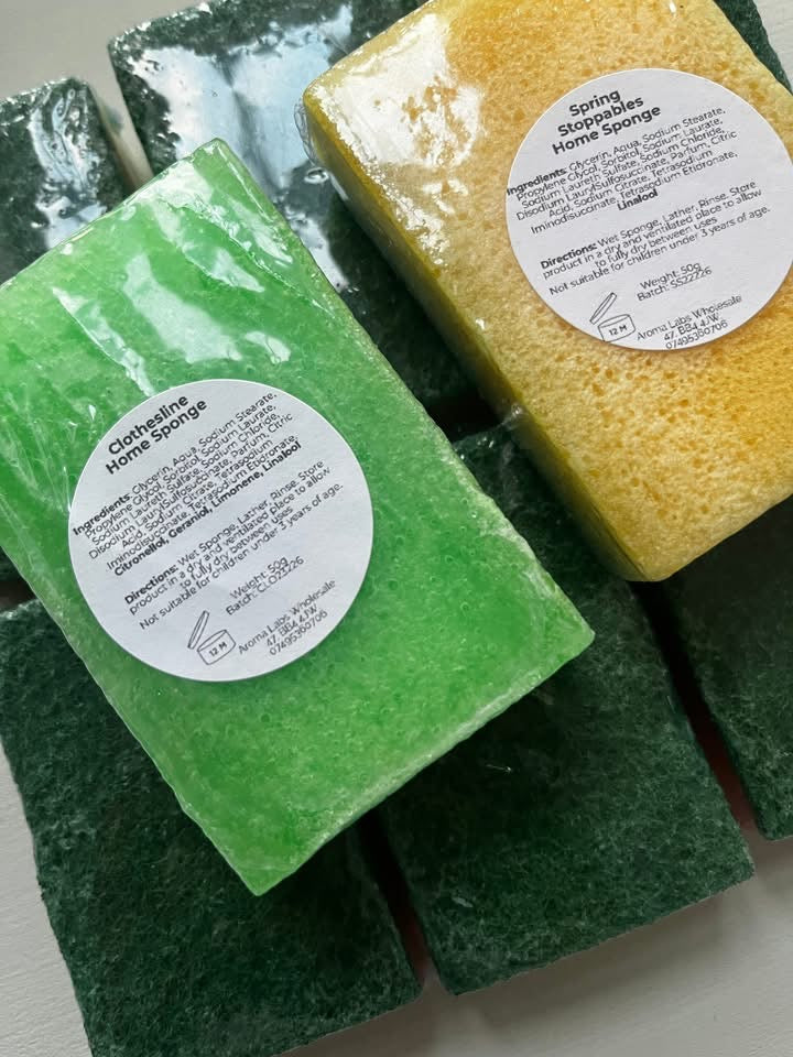 Home cleaning sponges