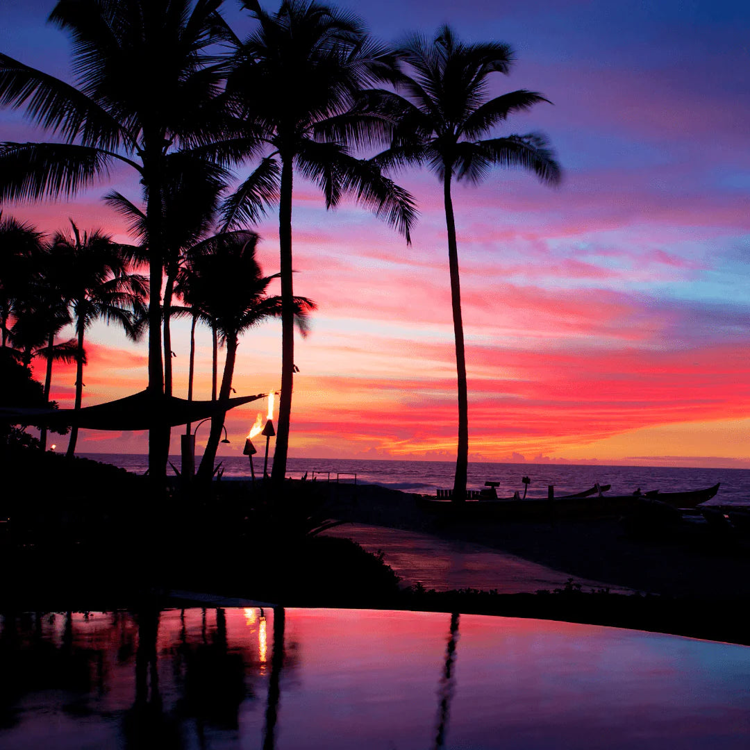 Lenora Tropical sunset